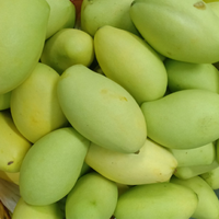 Premium verse mango uit Vietnam - Exportkwaliteit klasse 1 met concurrerende prijs