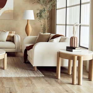 Conception incurvée élégante de Tableau de tambour en métal avec l'idéal durable lisse de meubles de finition argentée pour la table d'appoint ou l'affichage de Table basse - Product Image 4