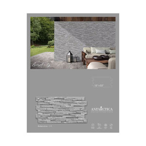 Carreaux muraux en céramique de qualité supérieure pour la décoration intérieure disponibles au prix de gros auprès d'un fournisseur indien - Product Image 3