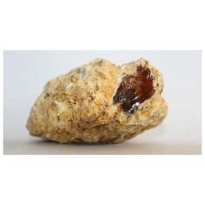 Capsules d'extrait d'animal ambre gris blanc de haute qualité pour une utilisation cosmétique disponibles pour l'exportation avec un taux de gros d'usine - Product Image 1