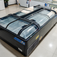 Congélateur commercial à double porte en acier peint, dégivrage manuel, refroidissement direct, réfrigérant R290, 110V-130V