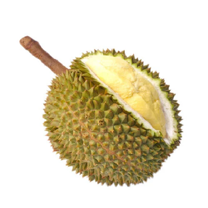 Venta caliente Durian Frutas tropicales Delicioso Popular Semilla de Durian vietnamita - Product Image 1