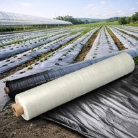 Film de paillage PE blanc écologique compostable résistant aux UV pour le contrôle des adventices et le maintien du sol chaud en agriculture, idéal pour la couverture des sols et des légumes