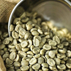 Meilleure vente Grains de café vert torréfié Nouvelle culture Arabica et Robusta du Vietnam Expédition rapide Meilleur prix à vendre - Product Image 3