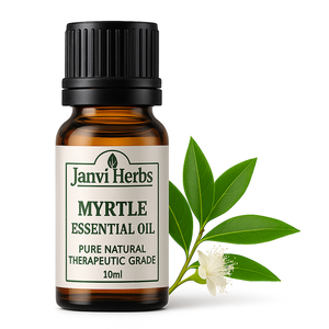 Tinh Khiết Tự Nhiên Chanh Myrussy Tinh Dầu Cao Cấp Chất Lượng Dầu Hương Liệu Hữu Cơ Điều Trị Cấp Tinh Dầu Cho Da - Product Image 5