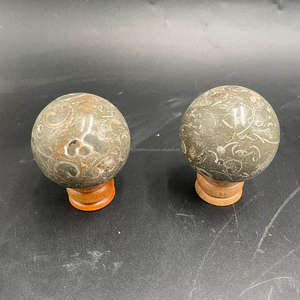 Wholesale 5cm Natural Indonesia Turritella Jasper <b>Crystal</b> <b>Spheres</b> High Quality Handicraft Healing Gemstones Polished Technique - Product Image 5