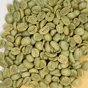 Haricots verts Arabica du Vietnam Qualité propre S18 Humidité 12.5% Parfait pour les torréfacteurs Fourniture en vrac OEM aux États-Unis, UE, EAU - Product Image 1