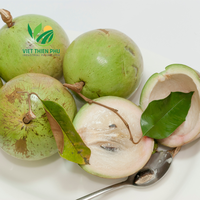 POMMES ÉTOILES FRAIS DU VIETNAM/FRUITS TROPICAUX DE HAUTE QUALITÉ DE LA DERNIÈRE CULTURE