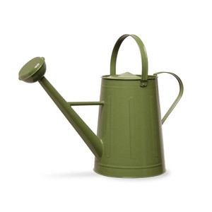 Top tendance Jardin décoré en acier galvanisé vintage pot de fleur enduit de poudre plante bon marché arrosoir en métal - Product Image 6