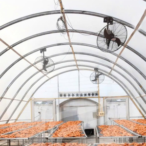 Durable <b>Greenhouse</b> Film For <b>Agricultural</b> Drying Applications Featuring Excellent Light Heat Transfer And UV Resistance - Product Image 1