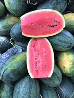 Lage MOQ Beste Prijs Vietnam Verse Watermeloen Zoet Sappig Rood Vlees 2-3kg Hele Fruit Bulk Groothandel Export Aanbod - Mevr. Tarina