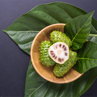 FRUITS NONI SÉCHÉS | MORINDA CITRIFOLIA | COMPLÉMENT DE SANTÉ NATURELLE