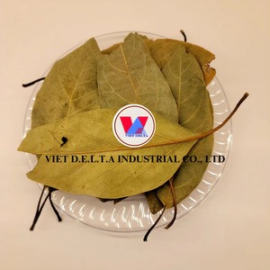 HOJAS DE AGUACATE SECAS/BOTÁNICO TRADICIONAL/SIN ADITIVOS/LIMPIAMENTE PROCESADO - Product Image 1