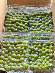 DRACONTOMELON TOUT NATUREL CONGELÉ/SANS ADDITIFS/PRÊT POUR LES BOISSONS FONCTIONNELLES INFUSIONS D'HERBES ET EMBALLAGE AU DÉTAIL MONDIAL - Product Image 6