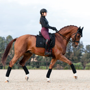 Bas prix femmes culottes d'équitation coupe ajustée respirant léger confortable pantalon durable pour culotte d'équitation - Product Image 2