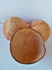 Material de Cáscara de Coco Cruda, Fibra Natural para Gestión de Residuos, 100% Pureza, Estado Sólido para Tratamiento de Agua y Agricultura - Product Image 2