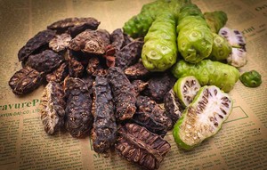 Fruit de noni pour tisane et boisson de désintoxication/noni sec du Vietnam pour savon naturel - Product Image 4