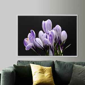 Toile décorative imprimée Crocus : élégante illustration florale violette pour les fêtes, 1P : encadrée de blanc - Product Image 1