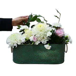 最畅销的椭圆形花盆绿花美式花瓶地板植物小型可从印度制造商获得