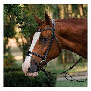 Calidad Superior ajustable, riel ajustable para reducir el peso - Product Image 5