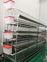 Nouveau système de cages à poulets de type H à 3-8 niveaux, en acier galvanisé, avec alimentation et abreuvement automatiques, et collecte des œufs pour volailles