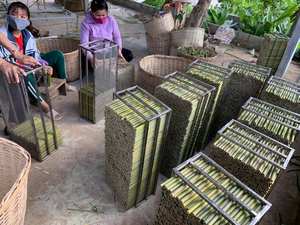 หลอดไม้ไผ่แบบยั่งยืนสำหรับใช้ในบ้านและเชิงพาณิชย์ย่อยสลายได้และปลอดภัยสำหรับเครื่องดื่มร้อนหรือเย็นจากเวียดนาม - Product Image 5