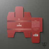 Carpeta Minimalista de Cartón Blanco Desechable y Ecológica Personalizada para Suscripciones de Cuidado de la Piel/Cosméticos con Marca Personalizada