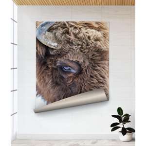 Art sur toile Wild Bull : décoration murale animale style bohème - toile imprimée, affiche enroulée - Product Image 1