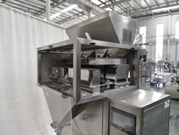 Machine de remplissage électronique semi-automatique pour granulés graines Options pour bouteilles pochettes sacs barils industrie cosmétique