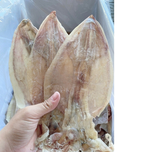 Calamars séchés de qualité supérieure, solution de collation pour le bureau et nutriments marins essentiels pour la fonction globale du corps - Product Image 6