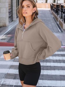 Automne Hiver En Gros À Capuche Demi Zip À Capuche Femmes Lâche À Manches Longues Demi Zipper Hoodies Pour Les Femmes - Product Image 6