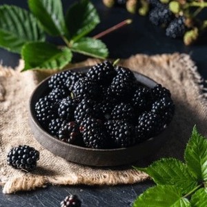 Extracto de Fruta de Mora Silvestre en Polvo, Alta en Antioxidantes, para Suplementos Alimenticios, Suministro a Granel, Fabricante OEM, Tailandia, Grado A - Product Image 5