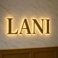 Enseigne d'entreprise personnalisée illuminée par LED 3D Options multicolores Lettres de canal Panneau rétroéclairé mural/montable Affichage personnalisé