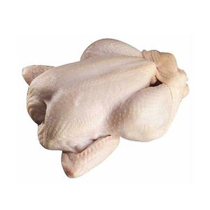 Dindes entières halal congelées biologiques de haute qualité en vrac pour la vente en gros - Product Image 2