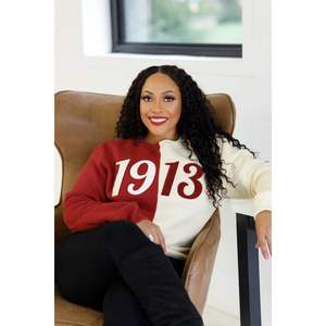 Mezza 1913 felpa girocollo in ciniglia bicolore in pile Premium abbigliamento da confraternita greco DST Delta inverno caldo Top - Product Image 1