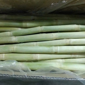 ไม้จิ้มแช่แข็งแบบเวียดนามเกรดสูงสำหรับร้านขายสมูทตี้บาร์น้ำผลไม้การแปรรูปเครื่องดื่มที่มีรสชาติหวานตามธรรมชาติ - Product Image 1