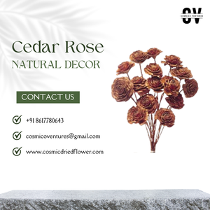 Rosas de Cedro Secas Hechas a Mano, Ecológicas, de Buena Calidad, al por Mayor, para Popurrí, Manualidades, Graduación, Día del Padre, Halloween - Product Image 2