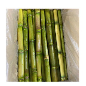 Bâtonnets de canne à sucre congelés sélectionnés dans les fermes du Vietnam, adaptés aux industries de jus de fruits professionnelles et aux commerçants internationaux - Product Image 5