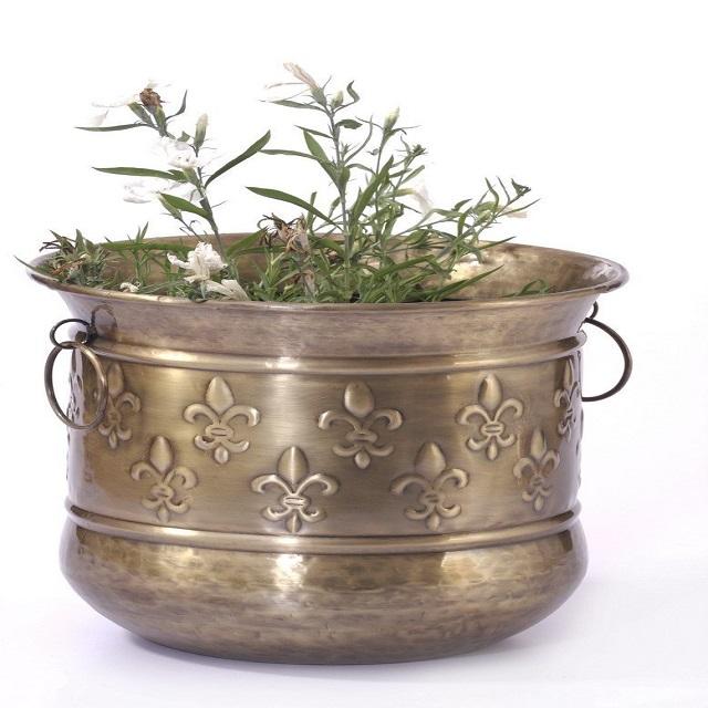 ช่อลาเวนเดอร์