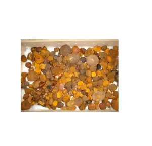 Wholesale bulk buyer ox cow gallstones cattle buffalo cows product yellow original whole broken gallstone supplier for sale