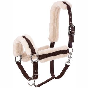 Nouveau 2025 Cheval Halter Nylon Halters PP Cheval Halters Horse Head Colliers - Product Image 6