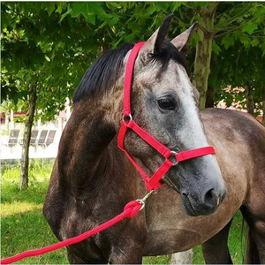 Sports de plein air de haute qualité équitation réglable cheval licou cheval bride par Pakistan Manufacturing - Product Image 4