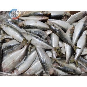 <span class=keywords><strong>Sardinas</strong></span> Congeladas 200-300g al por Mayor IQF BQF <span class=keywords><strong>Sardinas</strong></span> Enteras Redondas para Cebo - Product Image 5