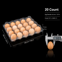 Boîte d'emballage commerciale pour œufs, 20 compartiments, en PET transparent de qualité alimentaire, empilable, antichoc, avec cavités indépendantes