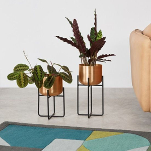 Conteneur de plantes à fleurs créatif Support d'angle pour plantes en métal Pot de plantes Affichage d'intérieur Conteneur d'herbes élégant à bon prix - Product Image 5