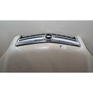 Cofano Anteriore OPEL Antara Serie 95516984 A22DM (06>15) - Product Image 2