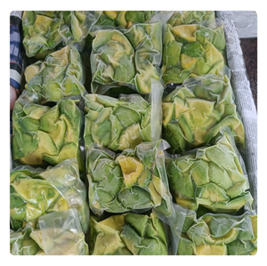 MEILLEUR PRIX AVOCAT CONGELÉ-FOURNISSEUR DU VIETNAM-HAUTE QUALITÉ - Product Image 5