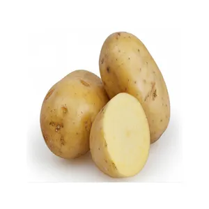 Patatas amarillas doradas frescas Patatas frescas orgánicas Patata blanca de alta calidad