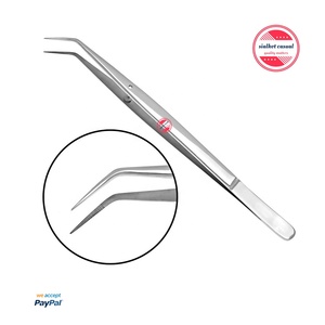 Alicates de peluquería Dental en ángulo, Instrumentos dentales básicos de acero inoxidable, limpieza y llenado de dientes - Product Image 4