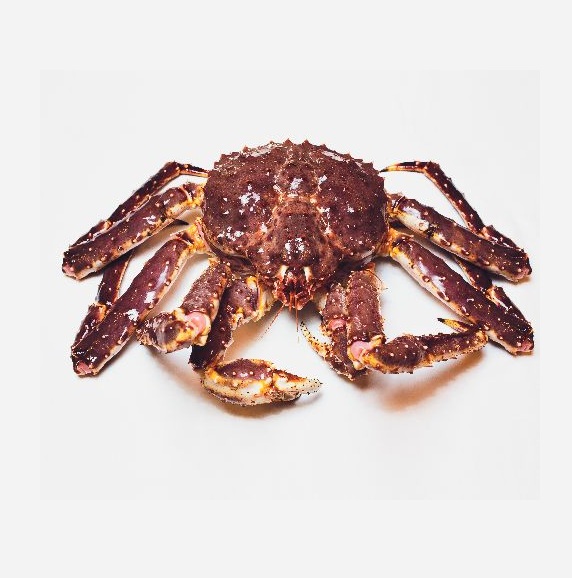 Высокое качество свежий/живой норвежский король краб (морепродукты) Доступно для продажи по низкой цене